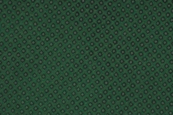 BSP-013 สีเขียวหัวเป็ด